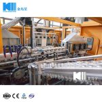 9600BPH Automatic 6 Cavity Full Servo Motor High Speed PET Bottle Blowing Machine For 500mL